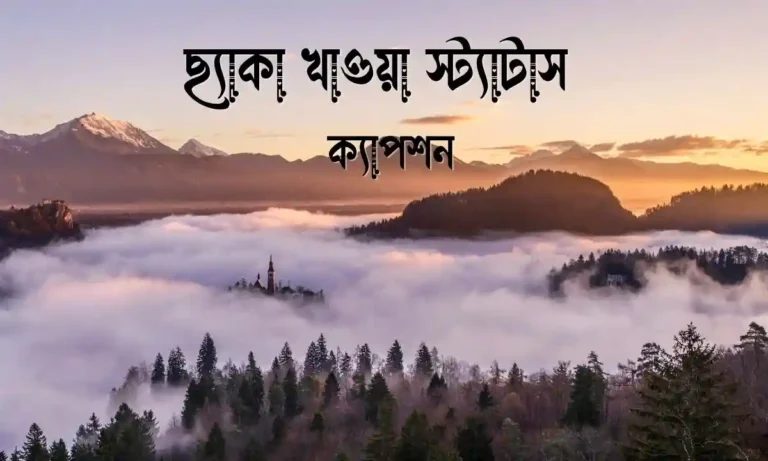 ছ্যাকা খাওয়া স্ট্যাটাস ক্যাপশন