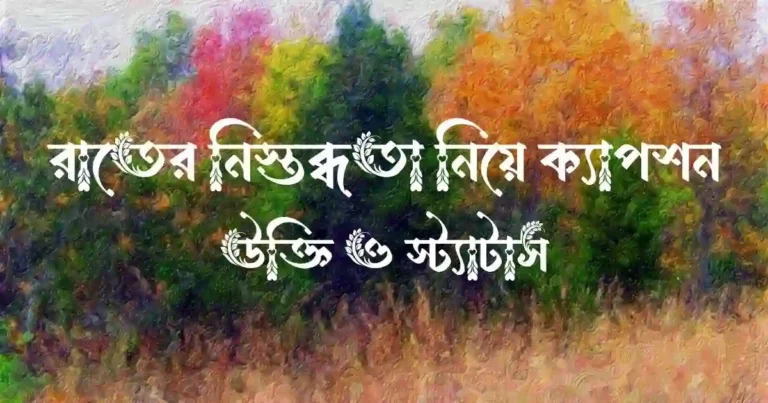 রাতের নিস্তব্ধতা নিয়ে ক্যাপশন, উক্তি ও স্ট্যাটাস