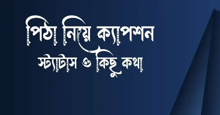 পিঠা নিয়ে ক্যাপশন, স্ট্যাটাস ও কিছু কথা