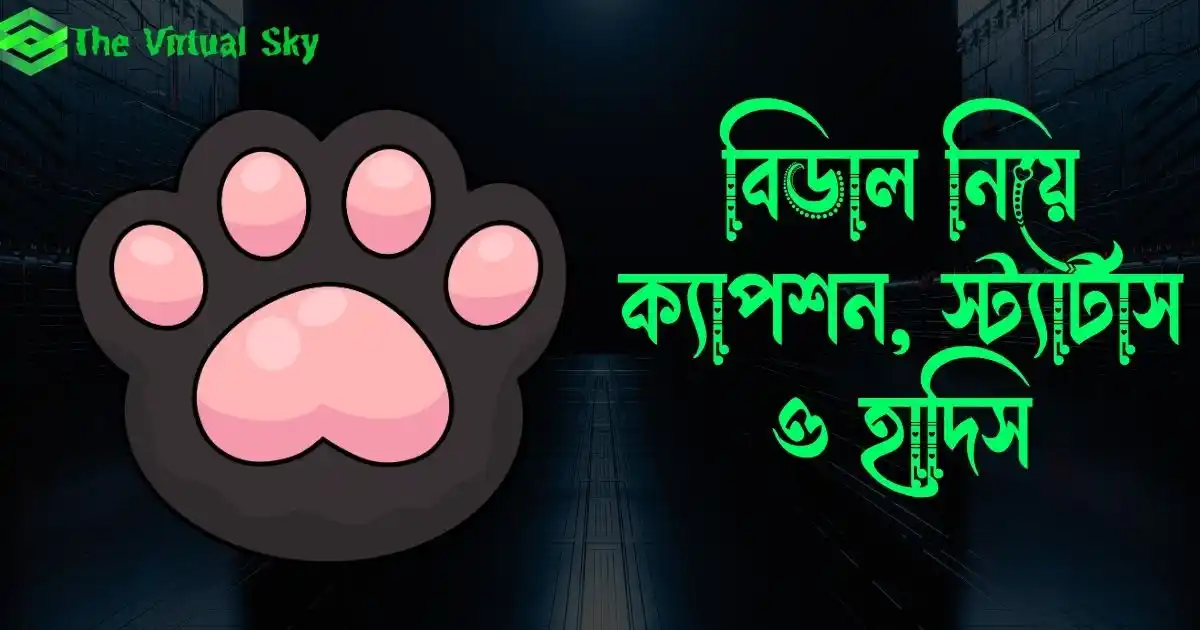 বিড়াল নিয়ে ক্যাপশন, স্ট্যাটাস ও হাদিস