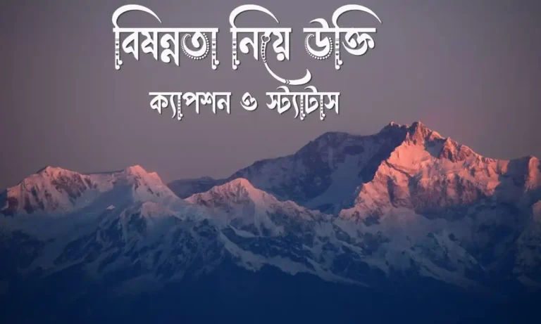 বিষন্নতা নিয়ে উক্তি, ক্যাপশন ও স্ট্যাটাস