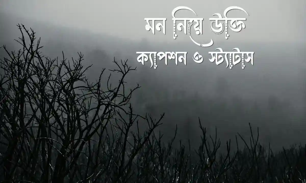মন নিয়ে উক্তি, ক্যাপশন
