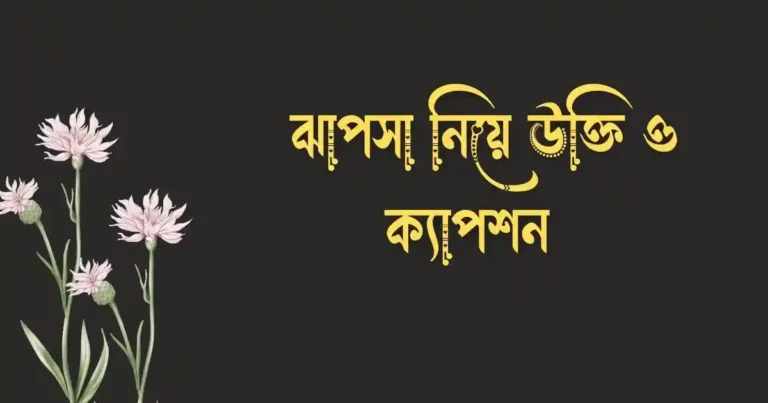 ৩০+ ঝাপসা নিয়ে উক্তি ও ক্যাপশন