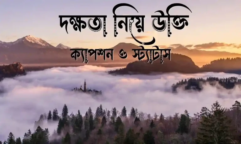 ৩০+ দক্ষতা নিয়ে উক্তি, ক্যাপশন ও স্ট্যাটাস