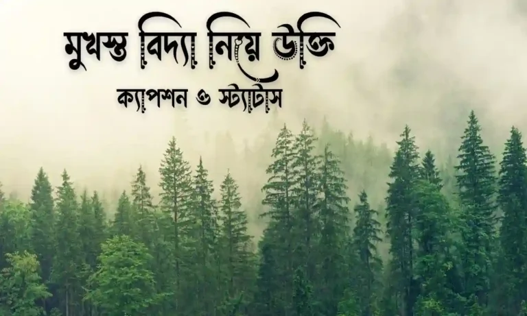 মুখস্ত বিদ্যা নিয়ে উক্তি, ক্যাপশন ও স্ট্যাটাস