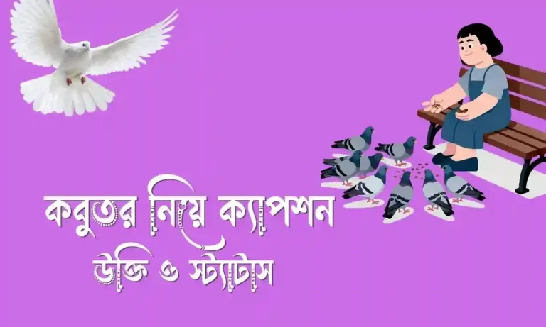 ৪০+ কবুতর নিয়ে ক্যাপশন, উক্তি ও স্ট্যাটাস