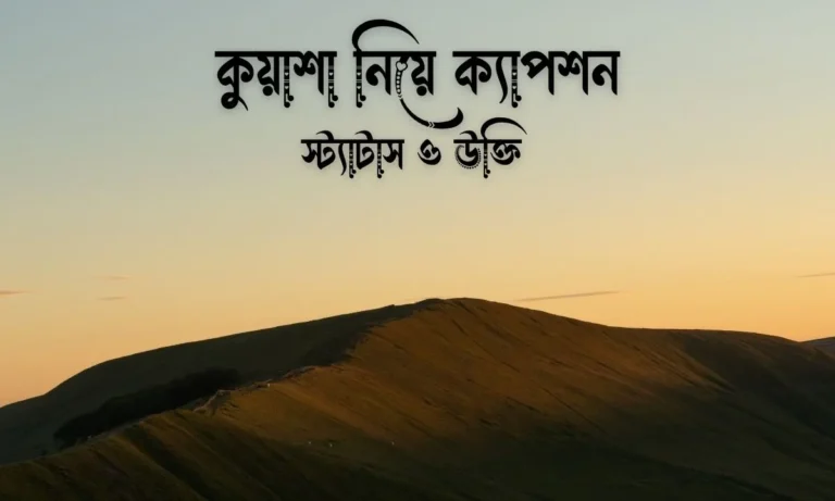 কুয়াশা নিয়ে ক্যাপশন ও স্ট্যাটাস