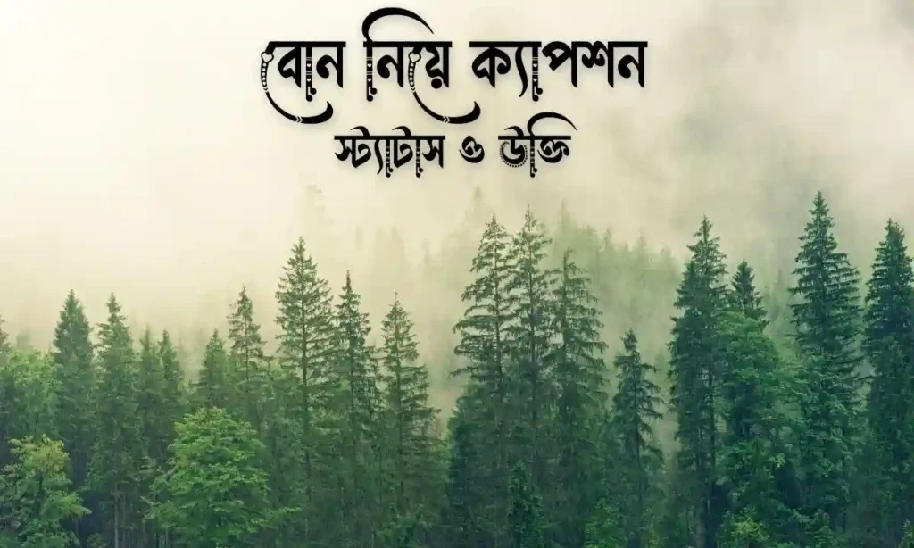 ১০০+ বোন নিয়ে ক্যাপশন, স্ট্যাটাস ও উক্তি