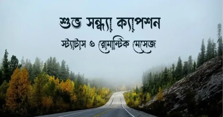১১০টিরও বেশি আকর্ষণীয় শুভ সন্ধ্যা ক্যাপশন, স্ট্যাটাস ও রোমান্টিক মেসেজ 