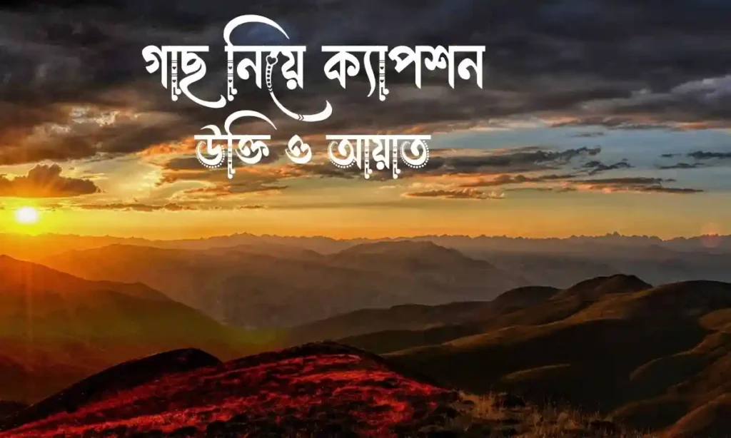 ১৫০+ গাছ নিয়ে ক্যাপশন, উক্তি ও আয়াত