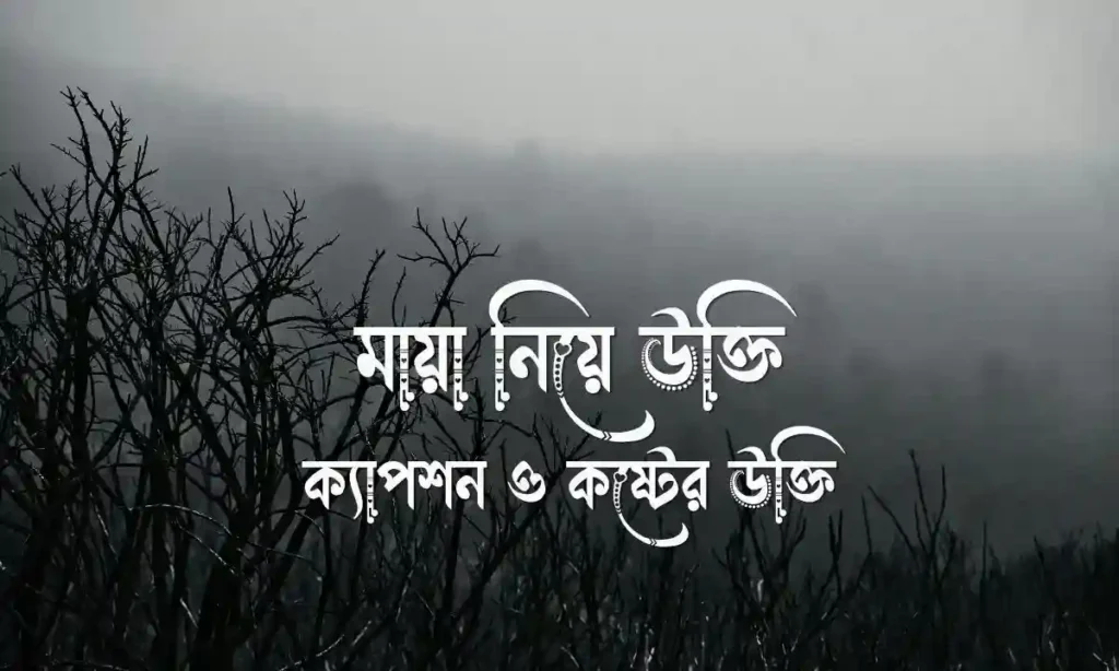 ১৭০টিরও বেশি আকর্ষণীয় মায়া নিয়ে উক্তি, ক্যাপশন ও কষ্টের উক্তি