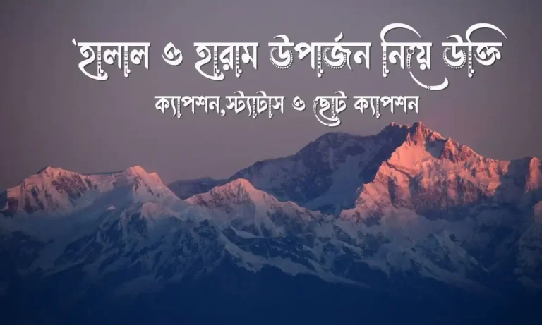 ৬০+ হালাল ও হারাম উপার্জন নিয়ে উক্তি, ক্যাপশন,স্ট্যাটাস ও ছোট ক্যাপশন