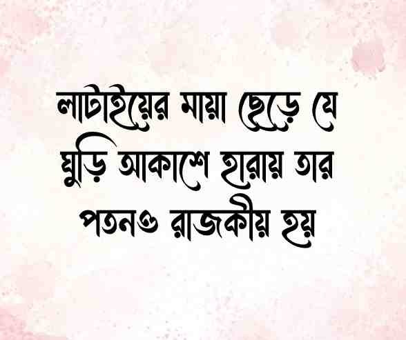 আকাশ ঘুড়ি নিয়ে স্ট্যাটাস