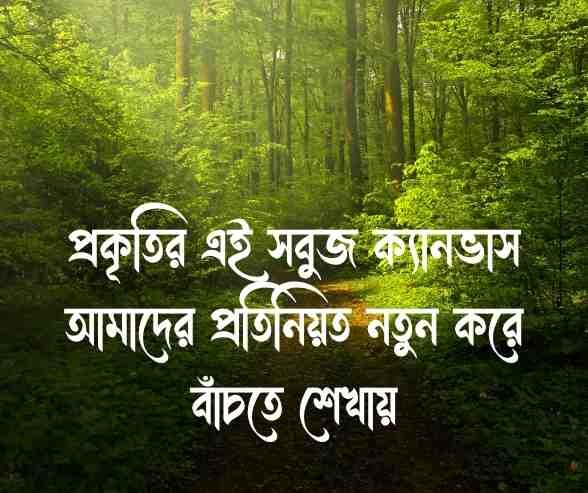 গাছ নিয়ে ক্যাপশন