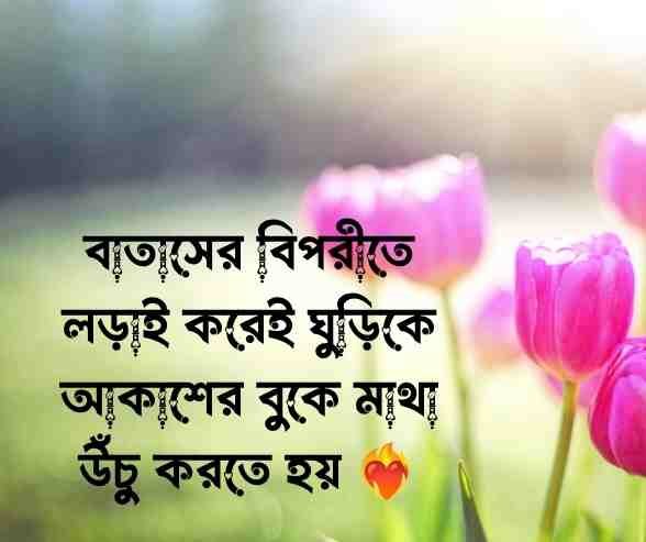 ঘুড়ি নিয়ে উক্তি