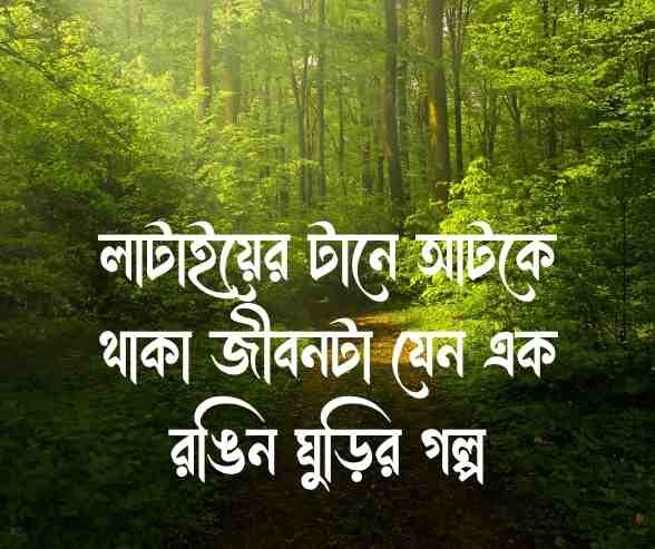 ঘুড়ি নিয়ে ক্যাপশন