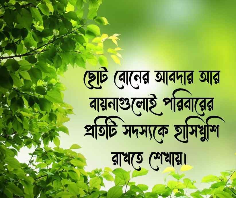 ছোট বোন নিয়ে স্ট্যাটাস