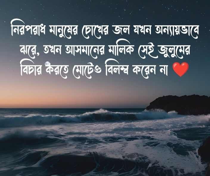 জুলুম নিয়ে ক্যাপশন জুলুম নিয়ে স্ট্যাটাস