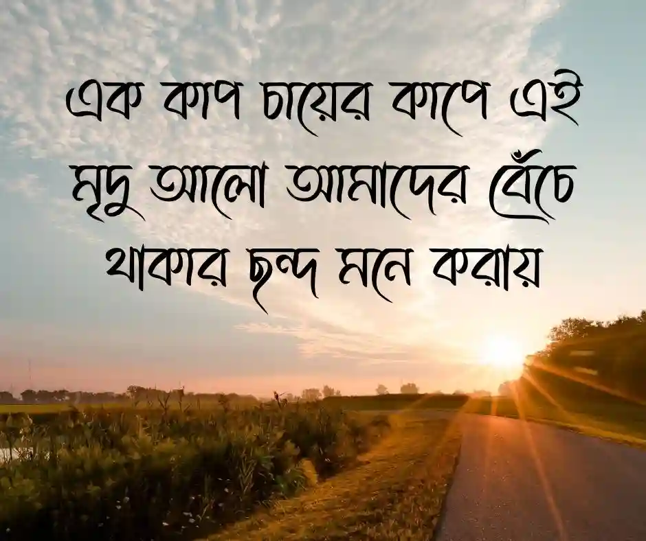 পরন্ত বিকেল নিয়ে ক্যাপশন