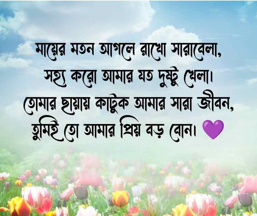 বড় বোন নিয়ে কবিতা