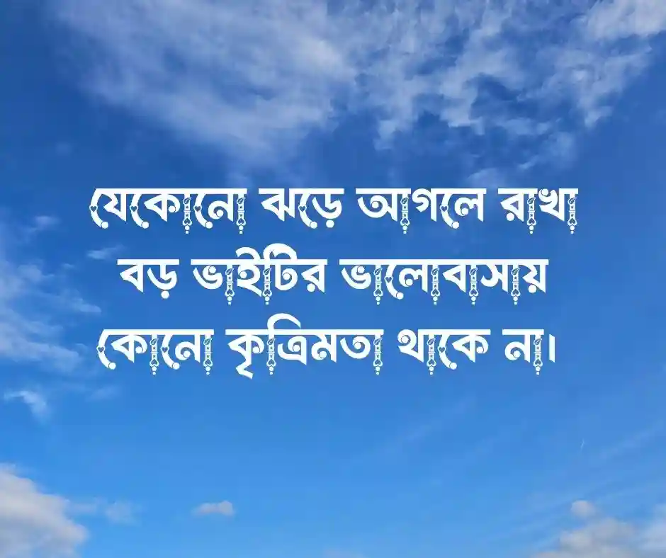 বড় ভাই নিয়ে ক্যাপশন