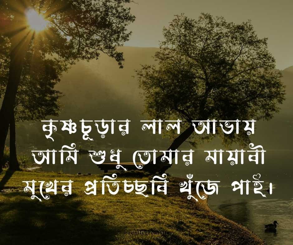 বসন্তের রোমান্টিক স্ট্যাটাস