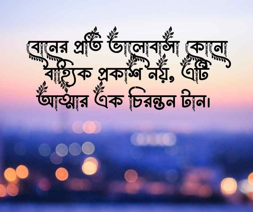 বোন নিয়ে স্ট্যাটাস