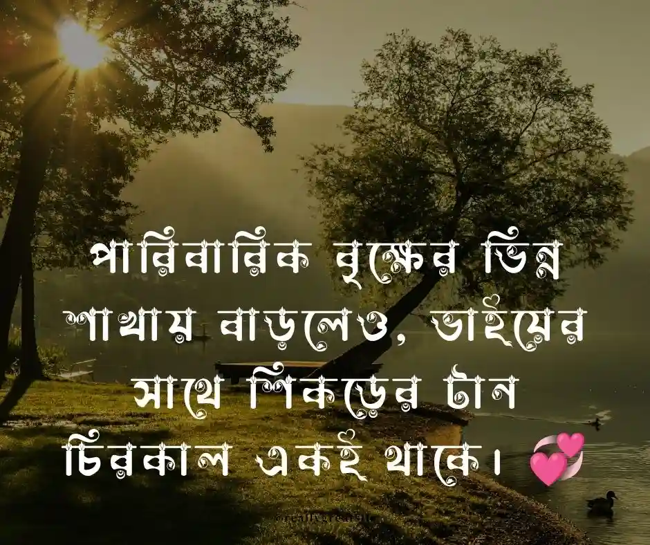 ভাই নিয়ে উক্তি
