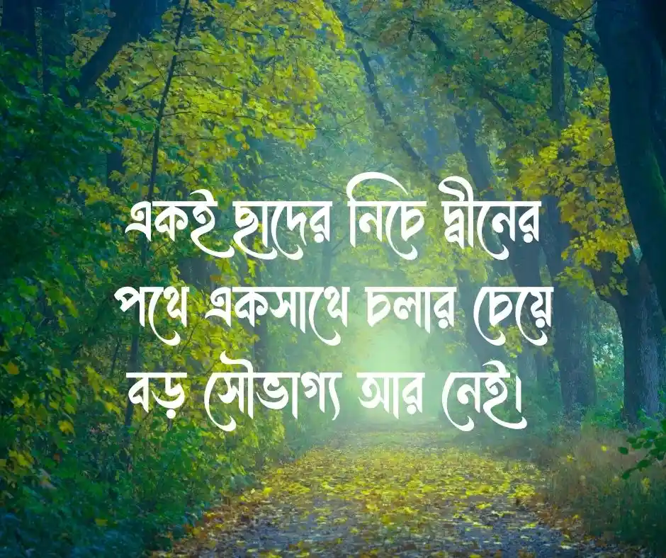 ভাই নিয়ে ক্যাপশন ইসলামিক