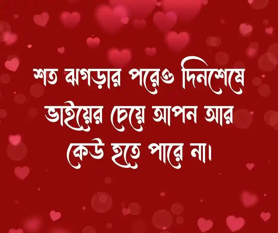 ভাই নিয়ে ক্যাপশন