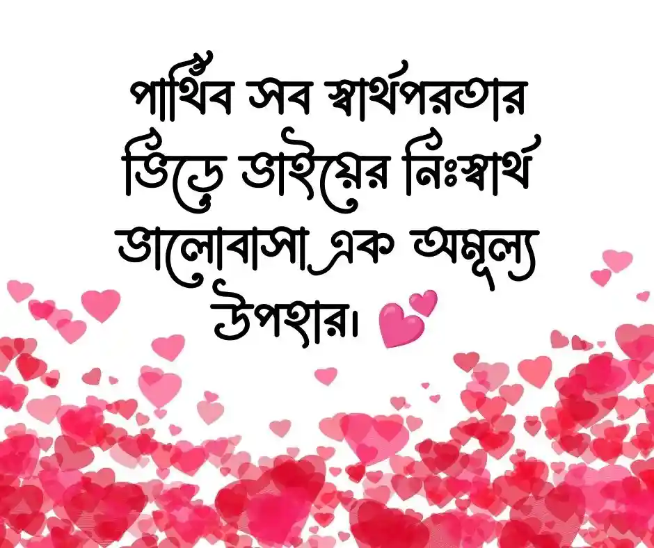 ভাই নিয়ে স্ট্যাটাস