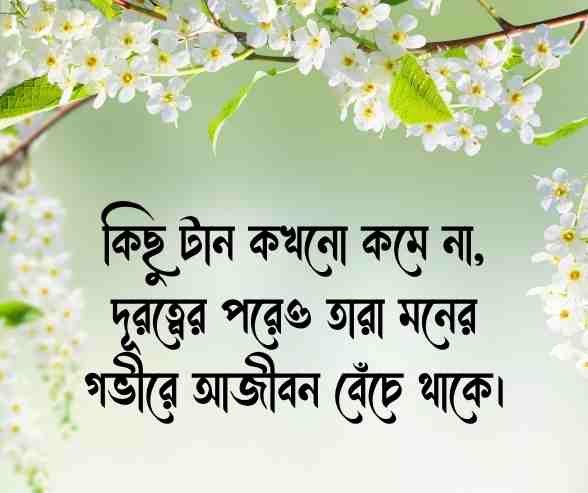 মায়া নিয়ে উক্তি