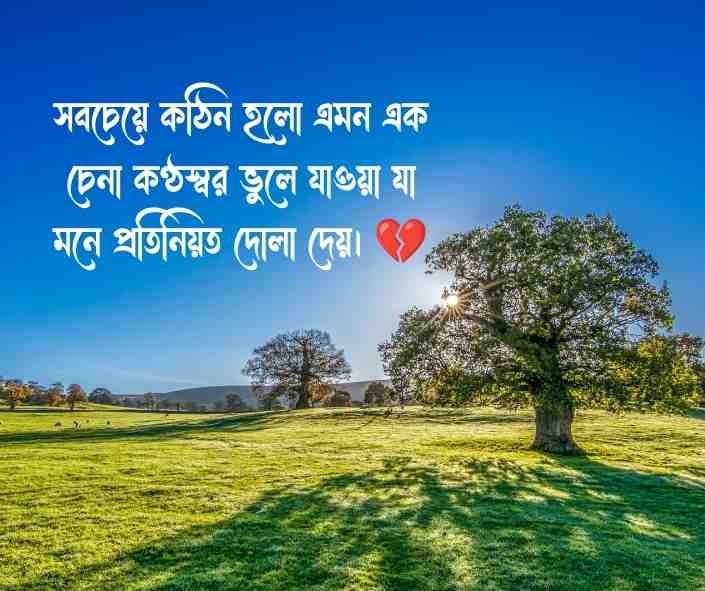মায়া নিয়ে ক্যাপশন বাংলা