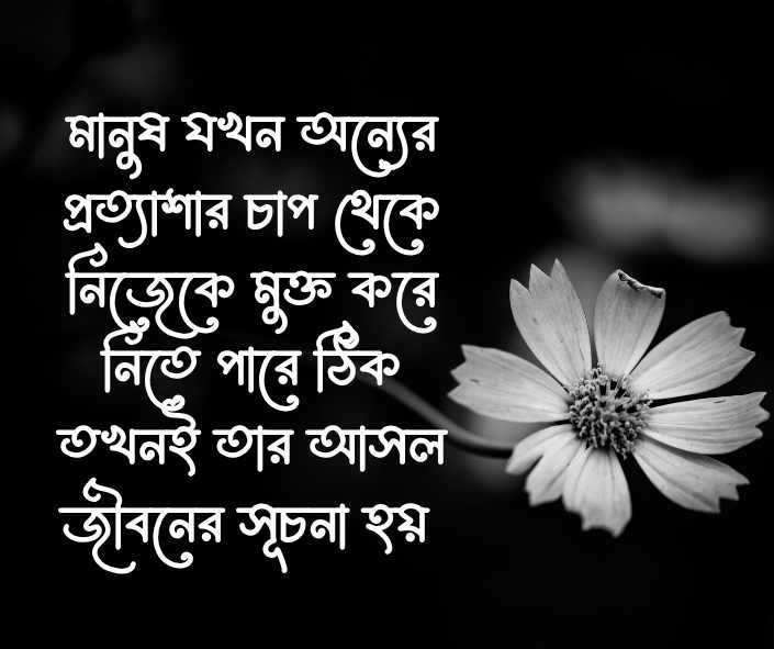 মুক্তি নিয়ে উক্তি