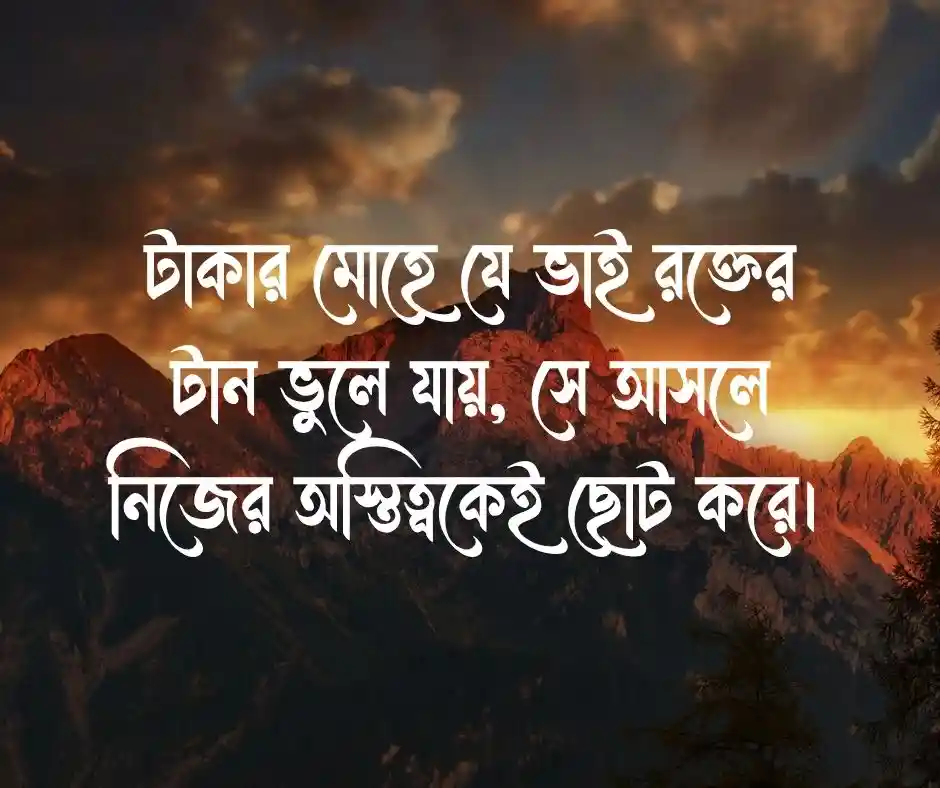স্বার্থপর ভাই নিয়ে উক্তি