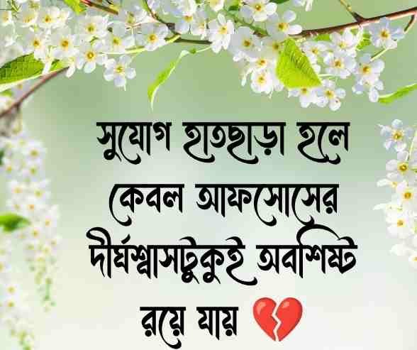 হারিয়ে যাওয়া সময় নিয়ে উক্তি