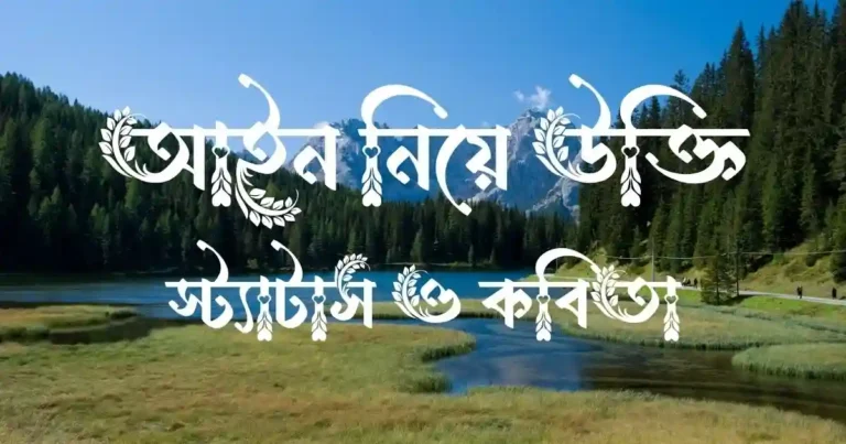 আইন নিয়ে উক্তি, স্ট্যাটাস ও কবিতা