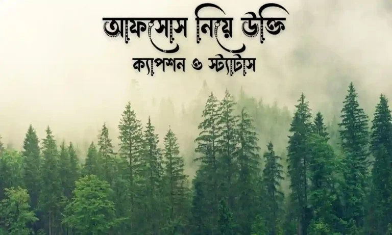 আফসোস নিয়ে উক্তি, স্ট্যাটাস