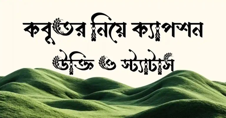 কবুতর নিয়ে ক্যাপশন, উক্তি ও স্ট্যাটাস