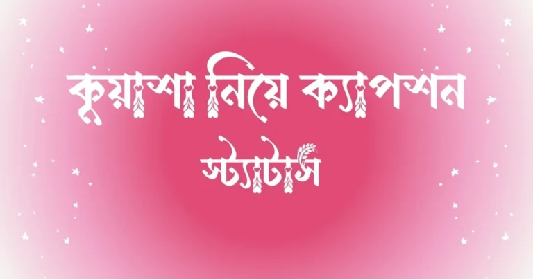 ৬০+ কুয়াশা নিয়ে ক্যাপশন ও স্ট্যাটাস