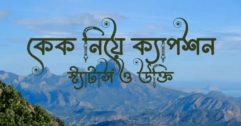 কেক নিয়ে ক্যাপশন, স্ট্যাটাস ও উক্তি