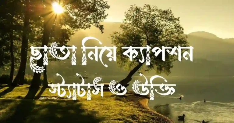 ছাতা নিয়ে ক্যাপশন, স্ট্যাটাস ও উক্তি