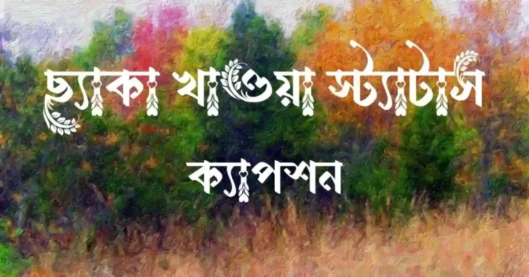 ছ্যাকা খাওয়া স্ট্যাটাস ও ক্যাপশন