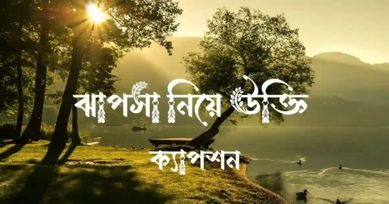 ঝাপসা নিয়ে উক্তি ও ক্যাপশন