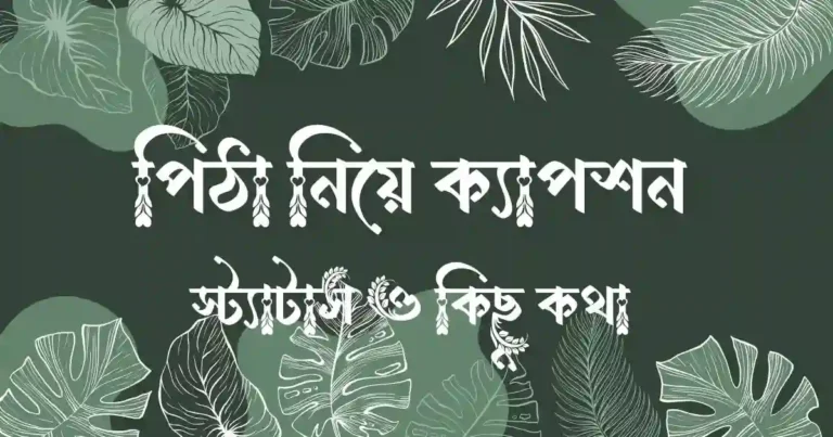 পিঠা নিয়ে ক্যাপশন, স্ট্যাটাস ও কিছু কথা