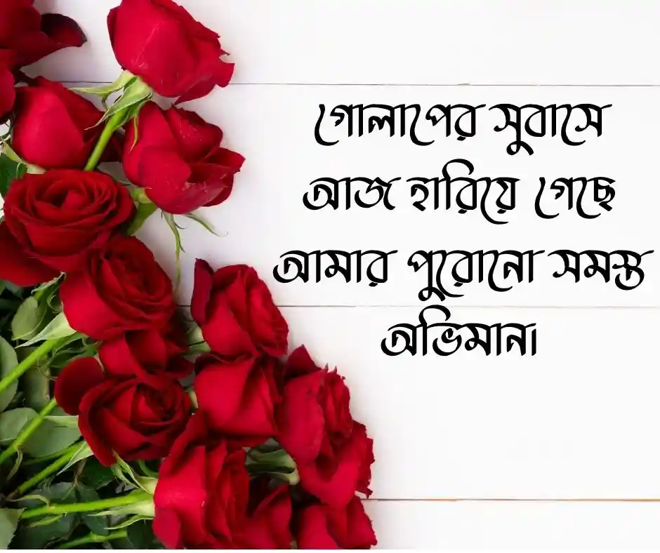 ফুল নিয়ে ক্যাপশন বাংলা Flower Caption Bangla