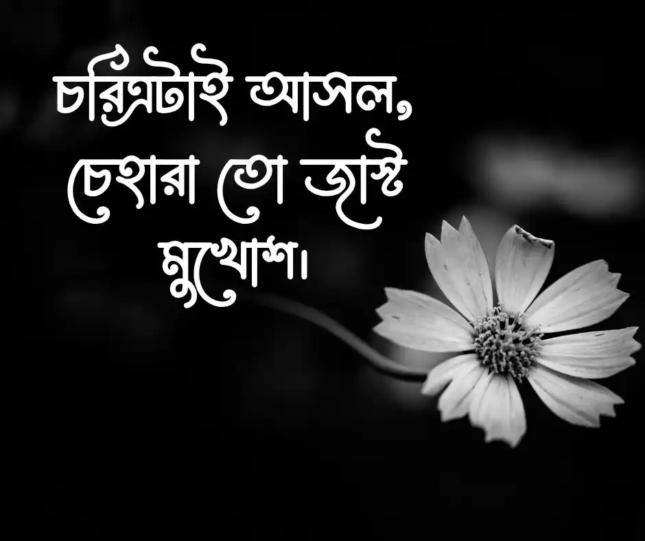 ফেসবুক ক্যাপশন Facebook Caption