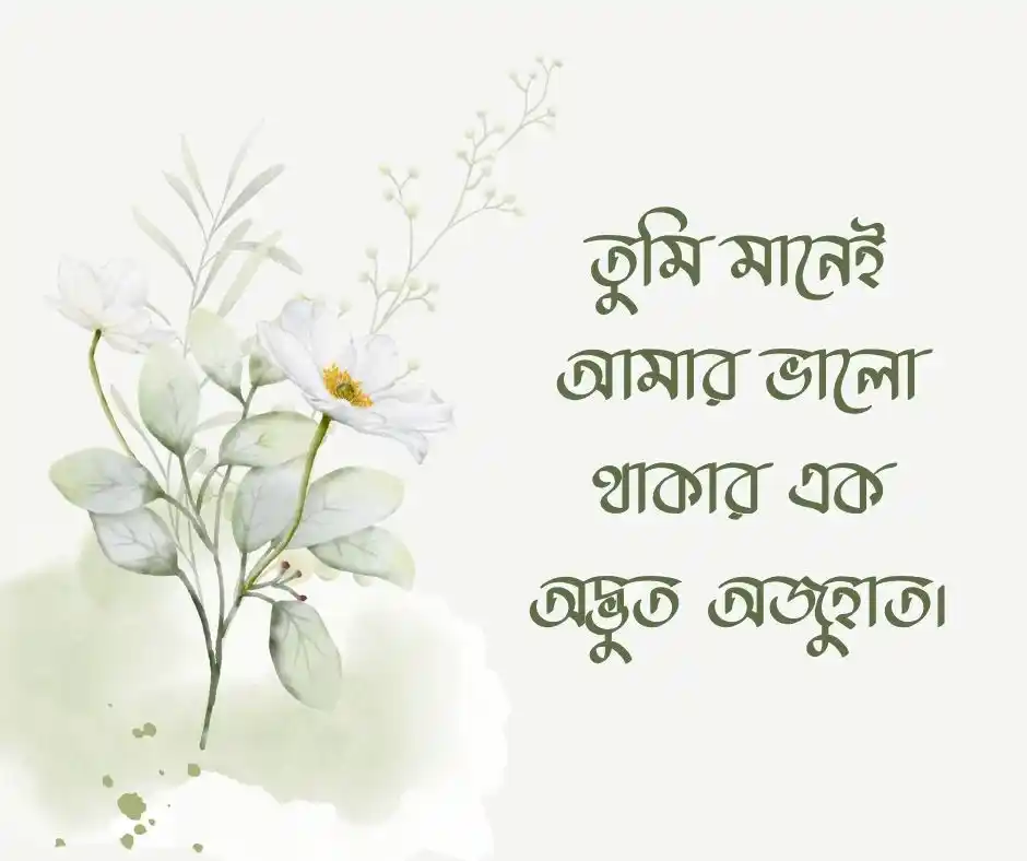 বাংলা কেপশন নতুন কেপশন বাংলা