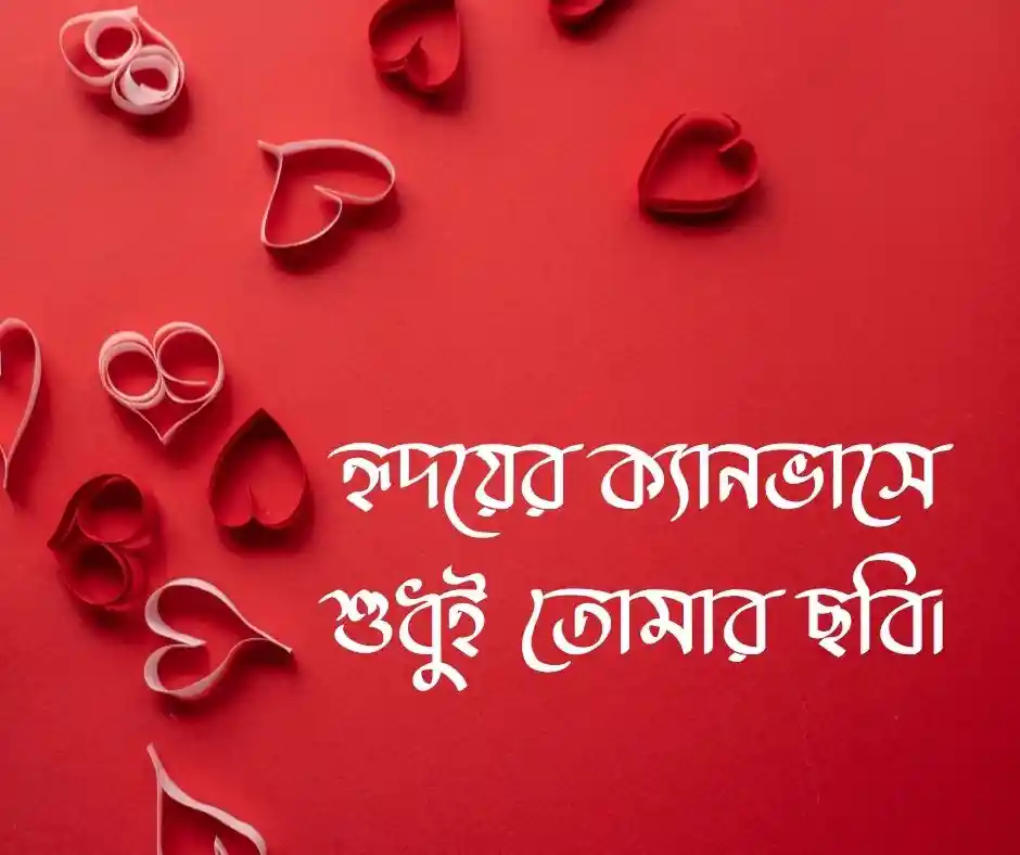 বাংলা ক্যাপশন সেরাটা Bangla Caption