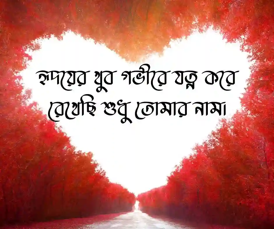 ভালোবাসা নিয়ে ক্যাপশন রোমান্টিক বাংলা ক্যাপশন
